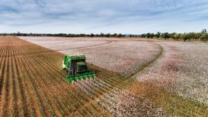 STONEVILLE® COTTON THROUGH THE LENS OF ASA SETH HERREN