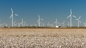 TRACEABLE AND TRANSPARENT: THE e3® SUSTAINABLE COTTON PROGRAM BY BASF