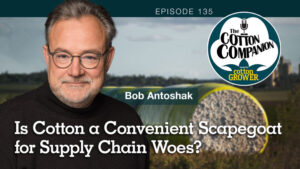 Cotton Companion Podcast: Is Cotton a Convenient Scapegoat for Supply Chain Woes?