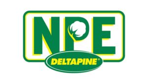 Deltapine Announces Class of ’25 Cotton Varieties