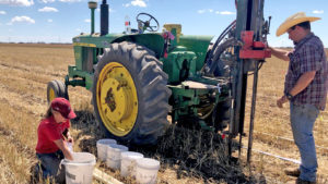 Variable deficit irrigation can improve cotton yields, save water