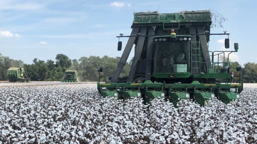 Time To Be Harvest Ready