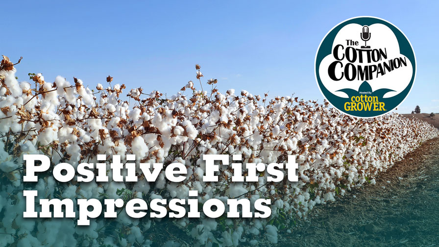 Positive First Impressions - Cotton Grower