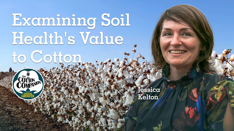 Cotton Companion Podcast: Examining Soil Health's Value to Cotton ...