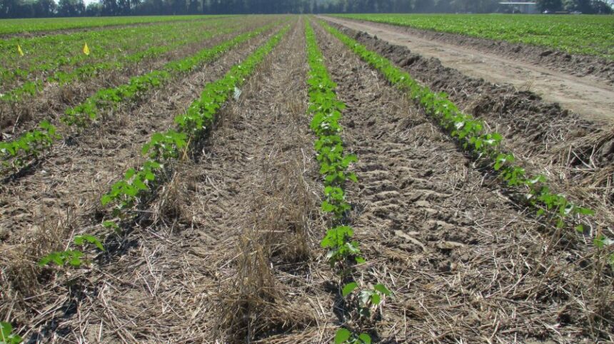 Prepping For 2024 Production Success