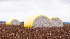 Wrap It Up to Help Prevent Contamination