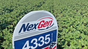 Americot Keeps Focus on Innovation and Choice