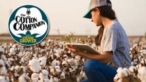 Cotton Companion: New Ag Tech in the Palm of Your Hand