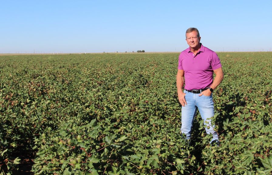 A good cotton crop brings a huge economic boost to Lubbock.