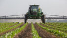 BASF’s Alite ISO Enters Year Six of Regulatory Limbo