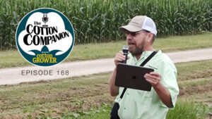 Cotton Companion: Weed Control’s Latest Issues, Challenges and Opportunities