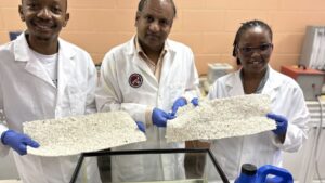 Cotton Attracts the Attention of Young African Leaders