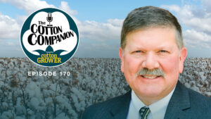 Cotton Companion: West Texas Optimism