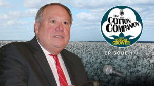 Cotton Companion: Making Sense of Cotton’s Volatile Year