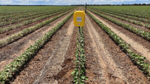Cargill, Goanna Ag Pilot Irrigation Efficiency Technology in Mid-South Cotton