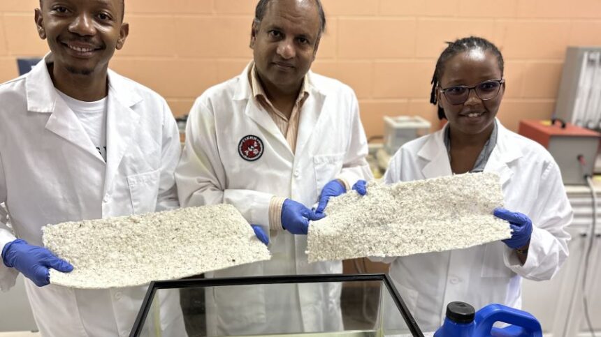 Examining Growth Opportunities for Cotton