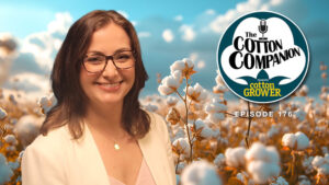 Cotton Companion: Beltwide Cotton Conferences Ready to Kick Off 2025