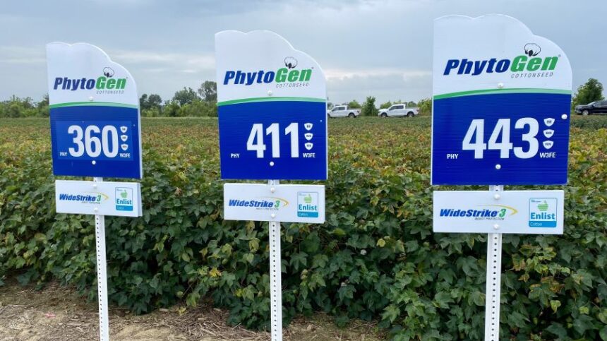 PhytoGen Finding a Broad Fit Across the Cotton Belt