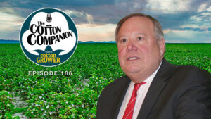 Cotton Companion: Ignore the Noise Around Tariffs, Focus Instead on Fundamentals