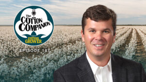 Cotton Companion: How Are Tariffs Impacting Cotton Movement and Trade?