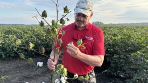 Deltapine NPE Program Kicks Off Variety Evaluation for the Class of ’26