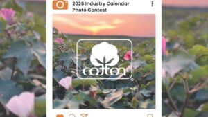 Cotton Board Announces 2026 Calendar Photo Contest