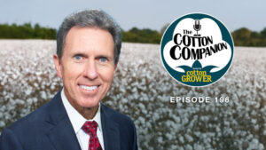 Cotton Companion: 49 Meetings, 16 States, 6 Weeks