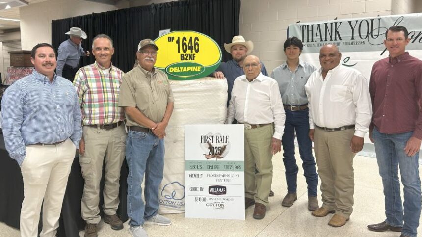 First Cotton Bale Harvested Fetches $24,000 for Scholarship Fund