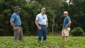 Break-Through Yields Begin With A Fundamental Decision