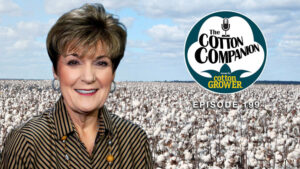 Cotton Companion: Plant Not Plastic: Cotton Takes On Microplastics and Polyester