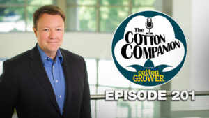 Cotton Companion: Will Cotton Break Out of It’s Narrow Trading Window in 2026?