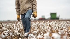 FIBERMAX® COTTON: BUILT FOR THE TOUGHEST FIELDS