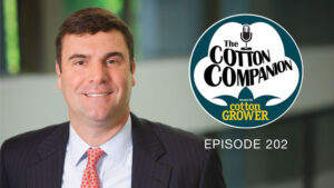 How Cotton Incorporated is Taking the Fight to Polyester on the Retail Shelf