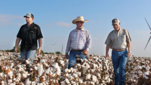 McNair Family Produces a Century of Cotton in the Coastal Bend