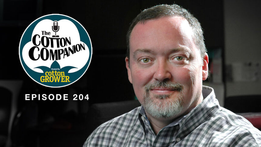 The Cotton Market Has 99 Problems but Tariffs Aren’t One