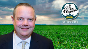 The Buying American Cotton Act Advances on Capitol Hill