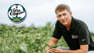 Cotton Companion: A Closer Look at the New Dicamba Label