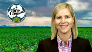 Cotton Companion: 9 Million Acres? A Look at the NCC’s Numbers for 2026