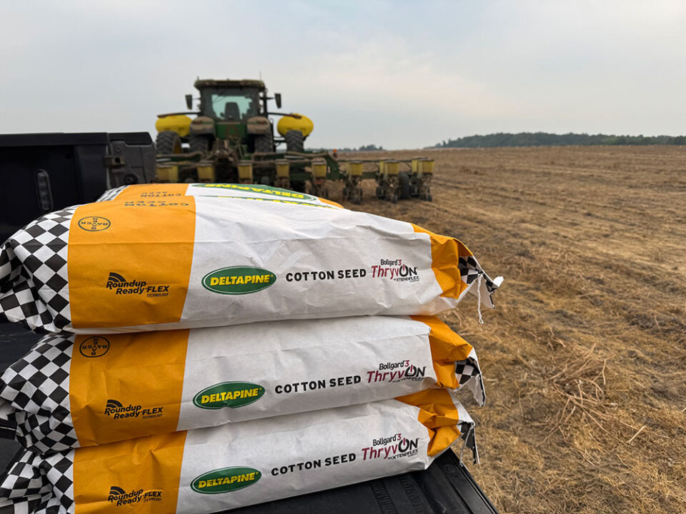How Growers Should Respond to Volatile Input Costs Right Now - Cotton ...