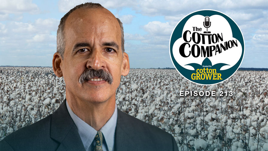 How Growers Should Respond to Volatile Input Costs Right Now - Cotton ...