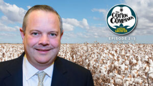 A Closer Look at the Great American Cotton Plan