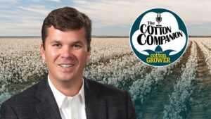 Uncle Sam Takes Aim at Building Cotton Demand