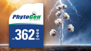 PhytoGen® Cottonseed Expands Next-Generation Portfolio with Three New Varieties